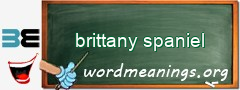 WordMeaning blackboard for brittany spaniel